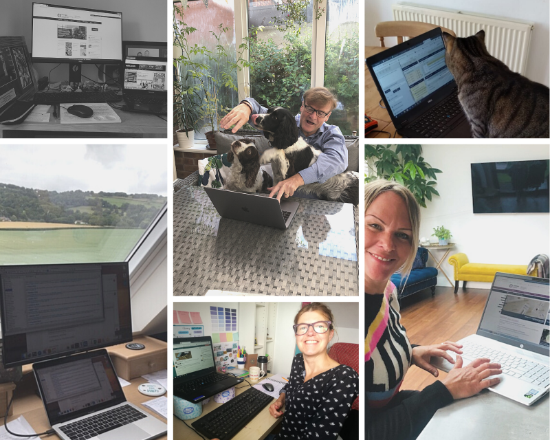 A collage of photos of people working from home, some smiling to the camera, one reaching over dogs to be able to type, and a cat looking at a computer screen
