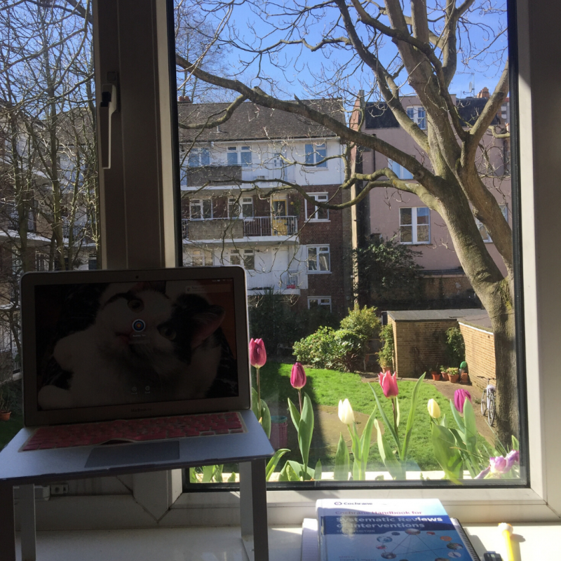 Photo of an elevated desk with spring tulips out the window view