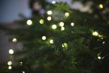 Lights on a tree