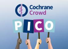 PICO PICO