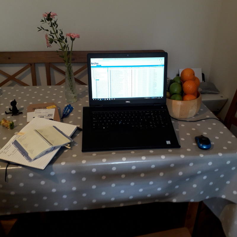 Picture of computer, table and a bowl of fruit