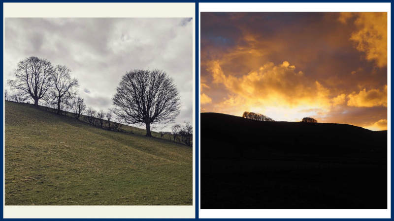 Artsy shots of hills with trees, one with gray sky, one with colorful sunset 