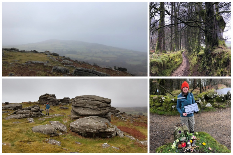 Tess Moore Dartmoor UK